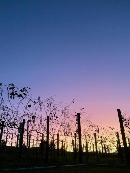 Quarto Dos Vinhos São Roque Exterior foto